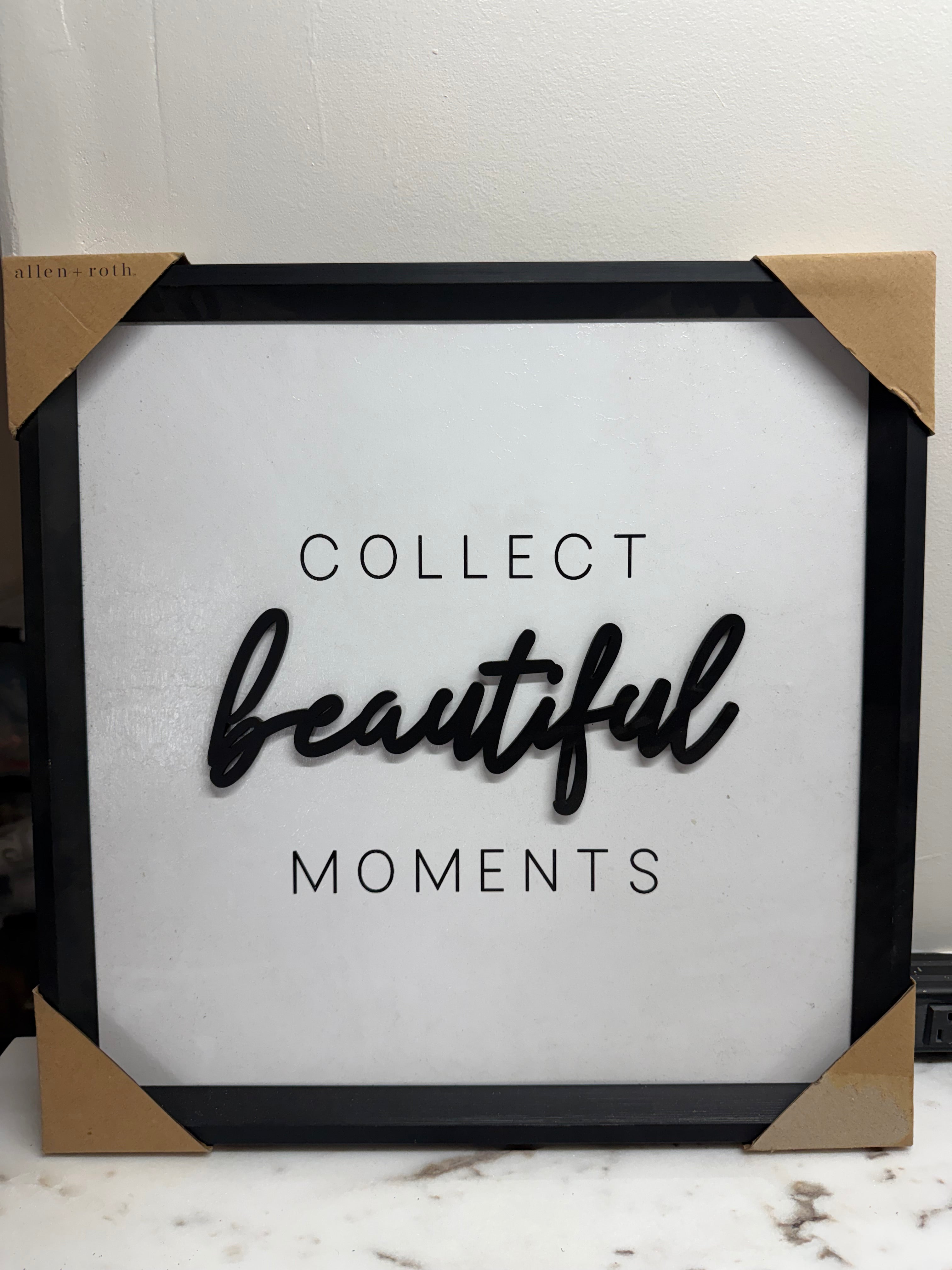 Allen + Roth Wall art