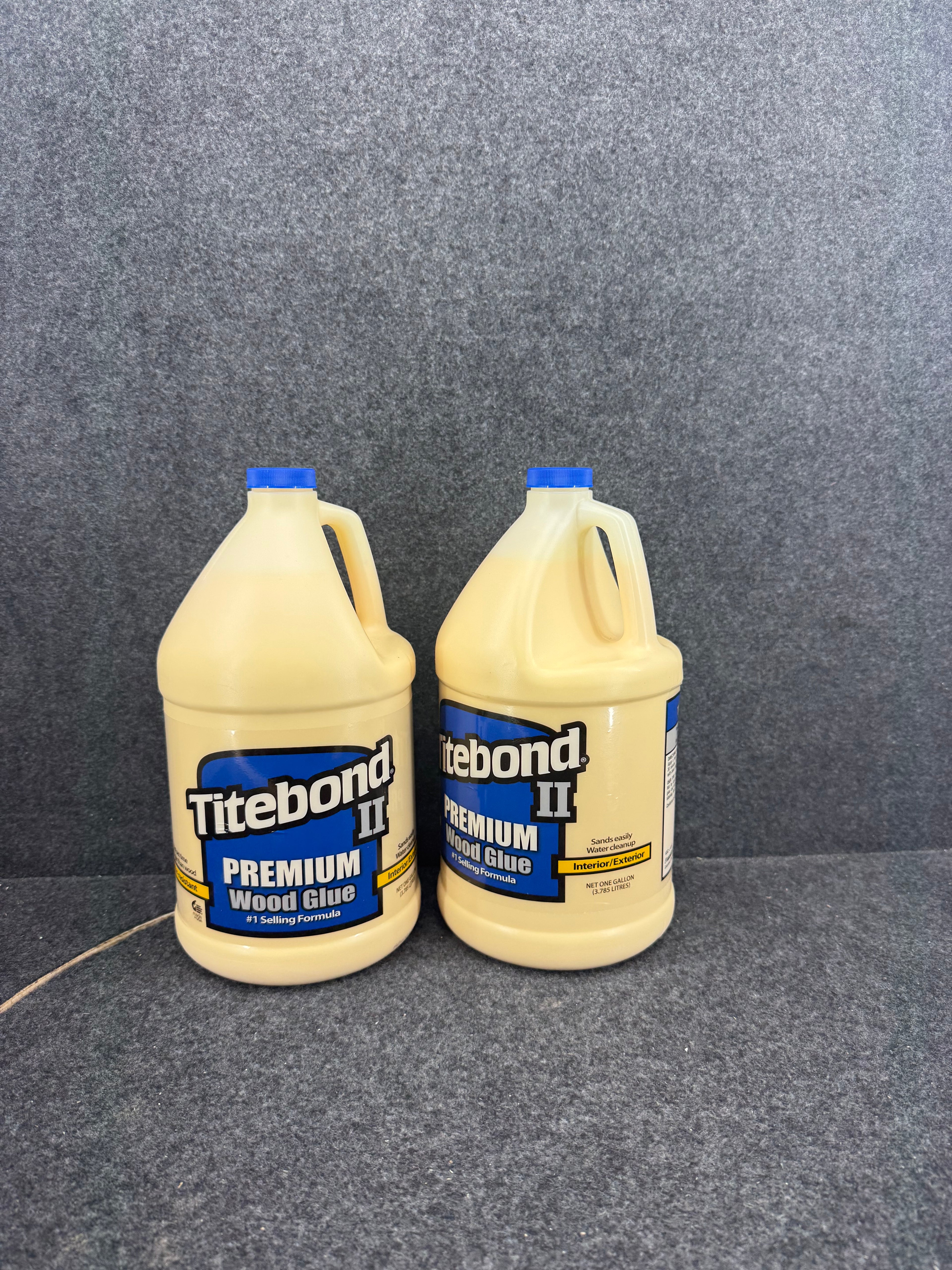 Titebond 2 Premium Wood Glue