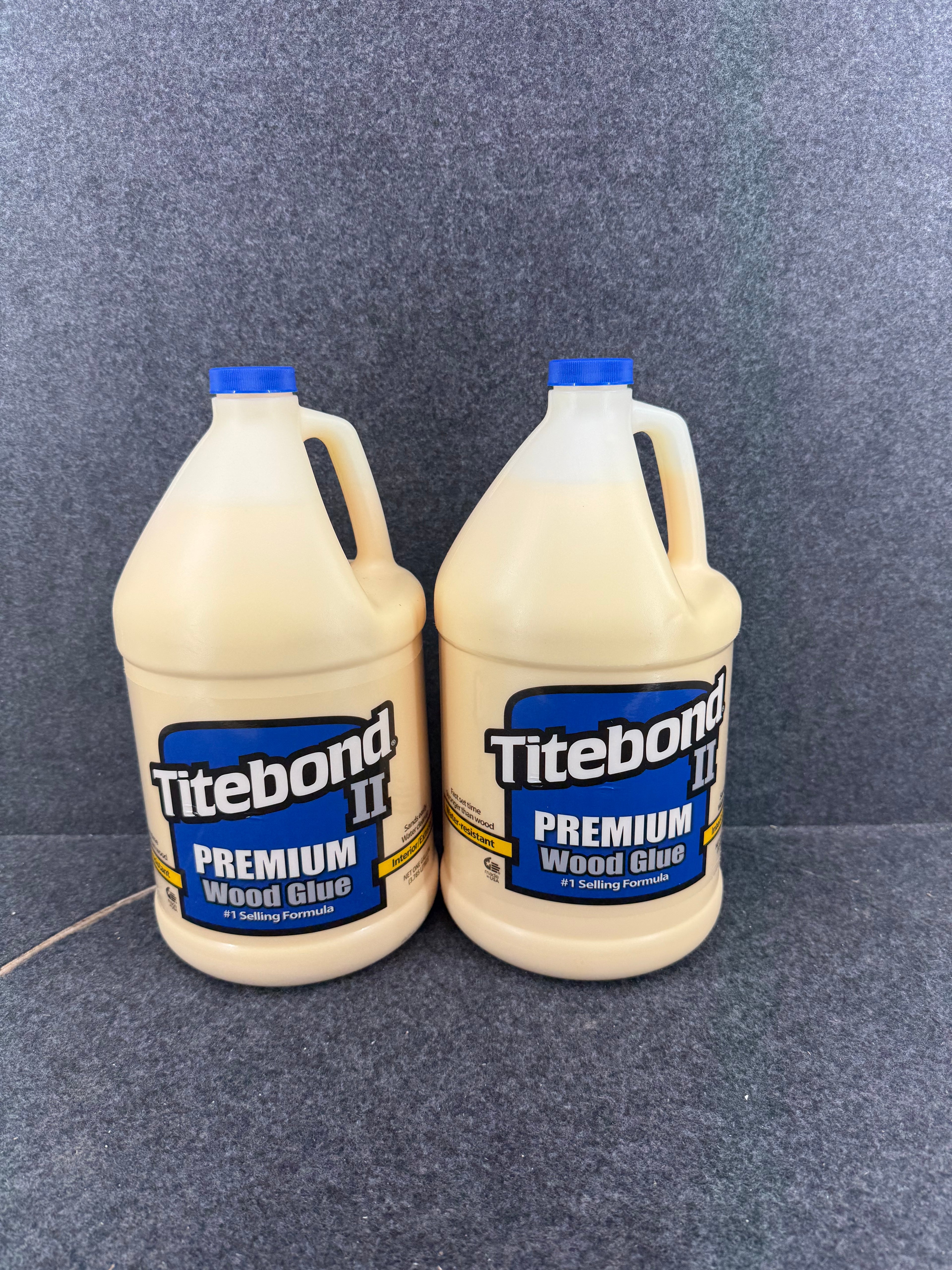 Titebond 2 Premium Wood Glue