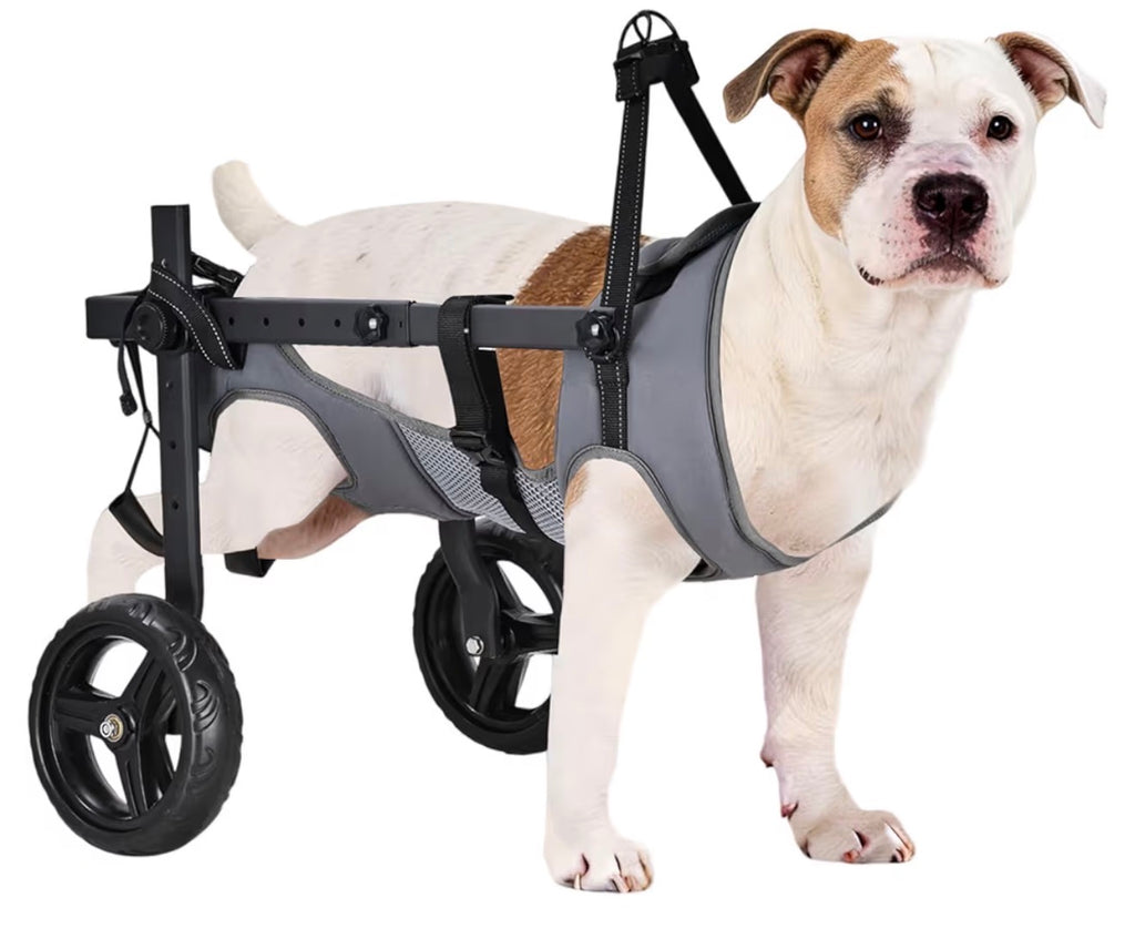 DogLemi Wheelchair for Large Dogs